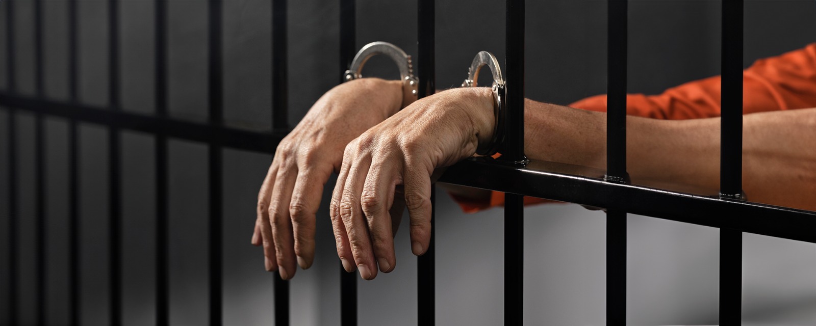 Entenda função do comitê contra tortura, alvo de polêmica envolvendo esposa de ‘Tio Patinhas’