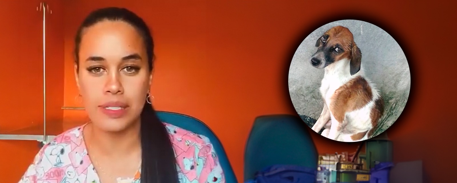 Mulher que arremessou cachorros por cima de muro alega ‘surto psicótico’