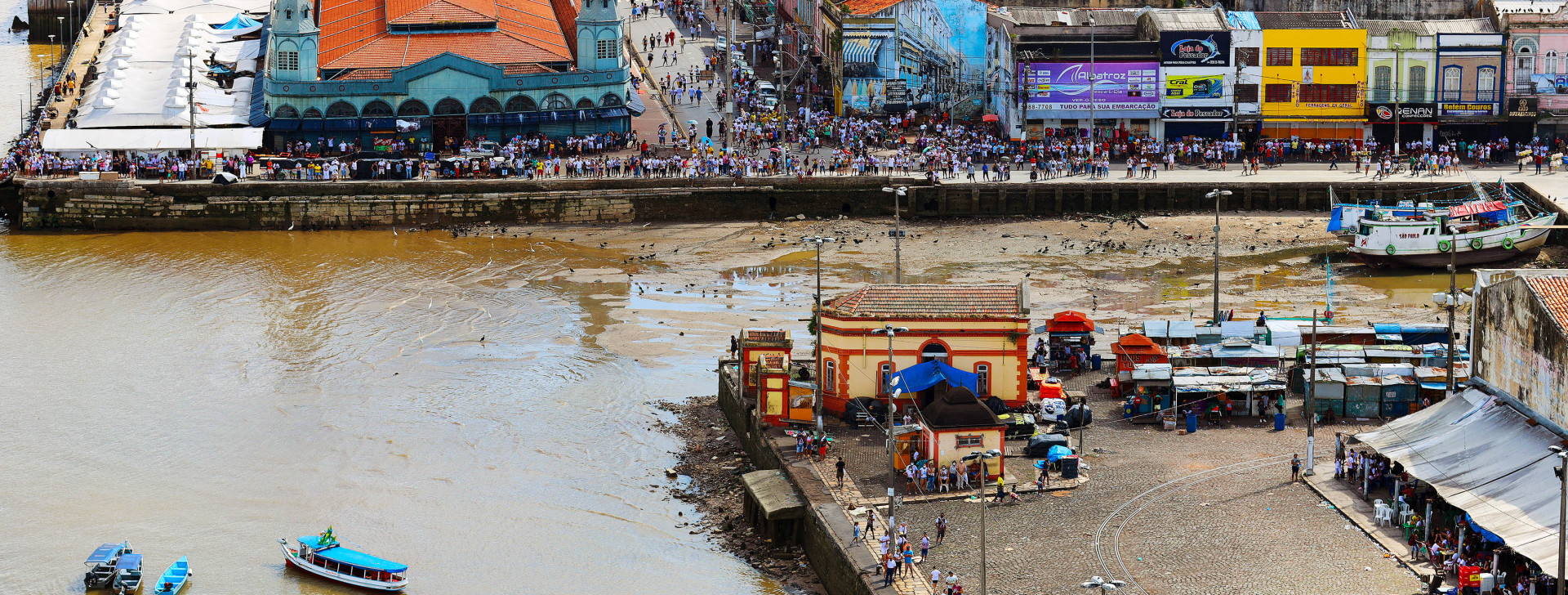 InfoAmazonia lança curso sobre COP30 para jornalistas