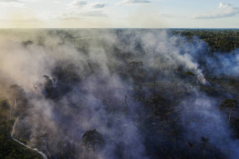 Pará firma parceria com setor privado para revitalizar área ameaçada na Amazônia