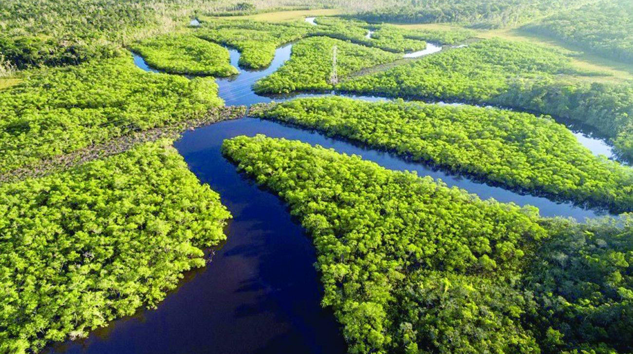 Projeto de lei do Senado americano não prevê internacionalização da Amazônia