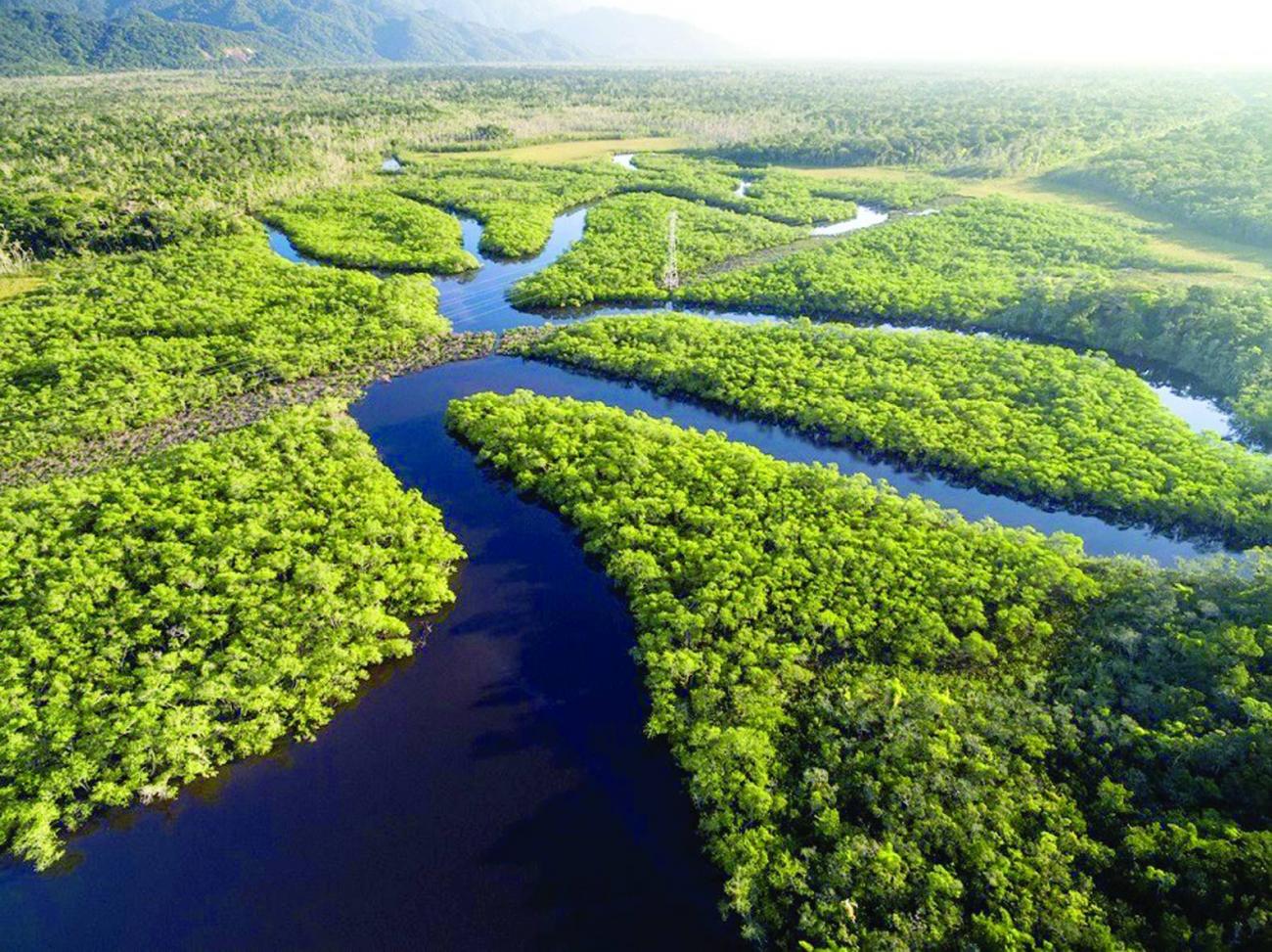 Projeto de lei do Senado americano não prevê internacionalização da Amazônia