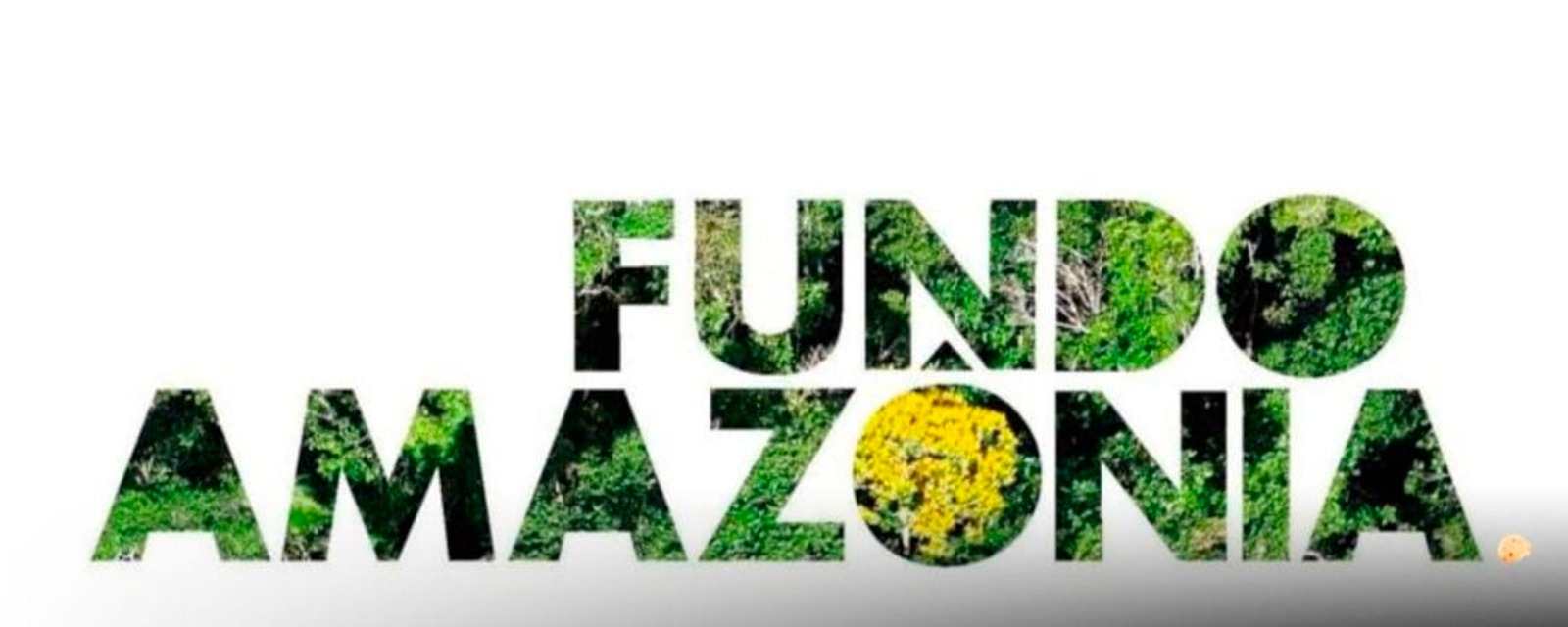 Reino Unido anuncia doação de mais de R$ 215 milhões adicionais ao Fundo Amazônia