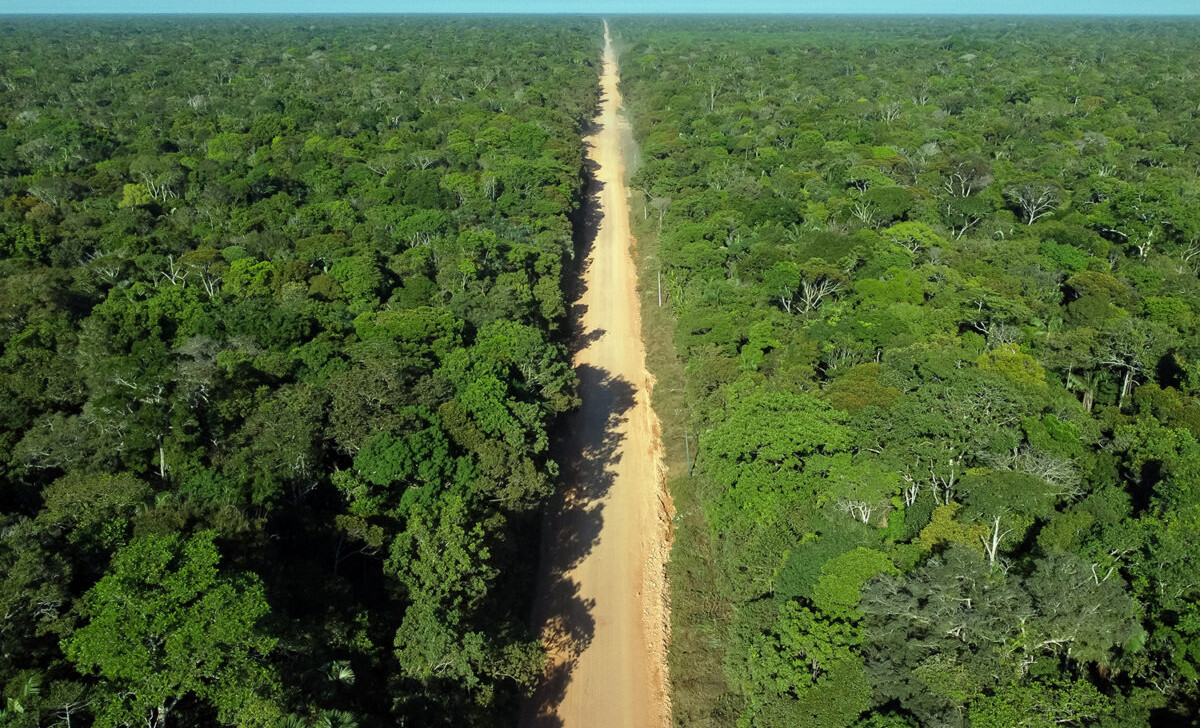 Vista aérea da BR-319, no quilômetro 272, próximo à Comunidade Igapó-Açu, no Amazonas (Michael Dantas/Reprodução)