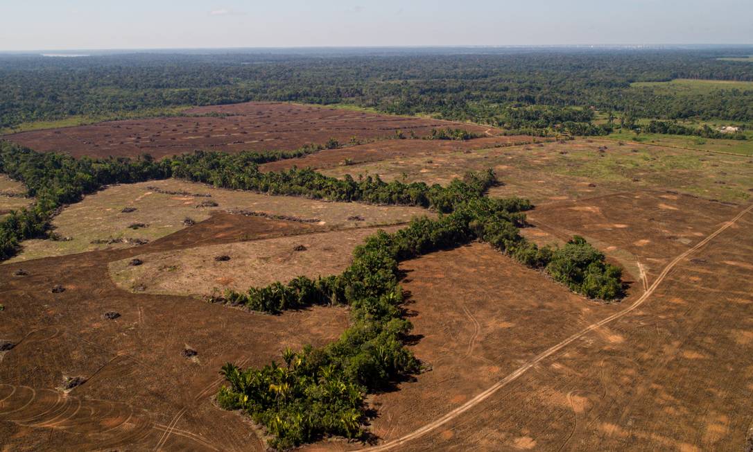 Veja como foi a movimentação da comunidade internacional à norma europeia contra o desmatamento