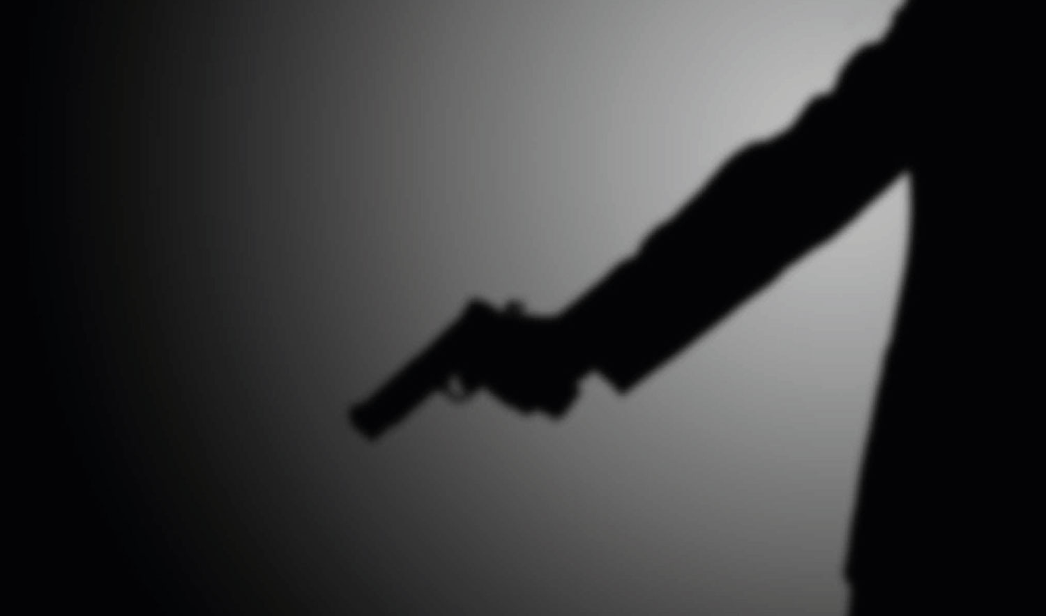 Dominância masculina: 95% das armas registradas pertencem a homens