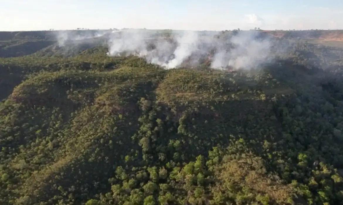 Incêndio florestal ameaça Santuário de Elefantes em Mato Grosso