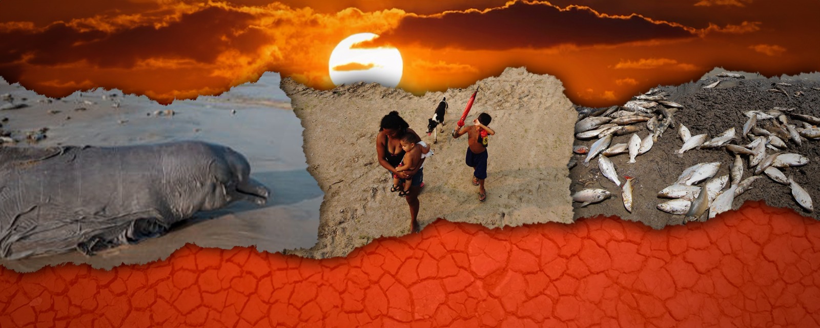 Seca na Amazônia em 2023: o que aprendemos com a crise climática?