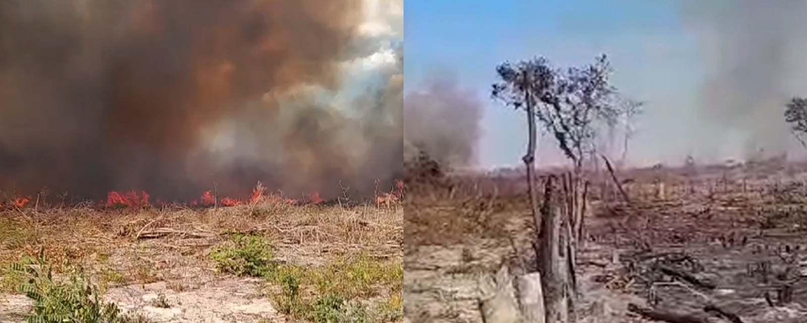 Incêndio em área de Cerrado, no Maranhão (Reprodução)