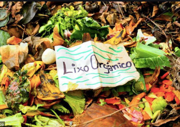 Lei contribui para reduzir danos ambientais causados pela má destinação de resíduos orgânicos