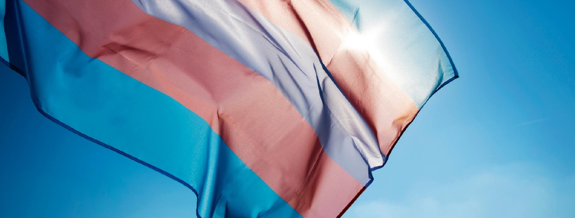 Bandeira da visibilidade trans (Reprodução/Freepik)