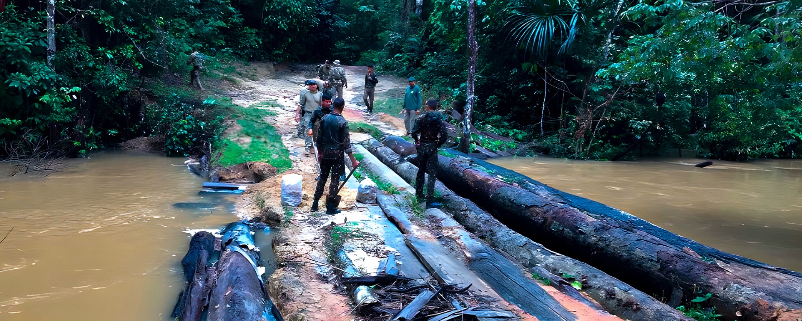 Pesquisas científicas apontam que militares sabotam proteção da Amazônia e dos indígenas