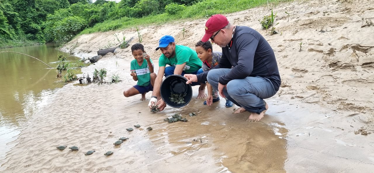População de quelônios em reserva extrativista no Amazonas aumenta 99% em seis anos
