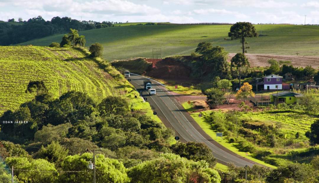 MPF ajuíza ação civil pública para barrar desmatamento em terra indígena no Paraná