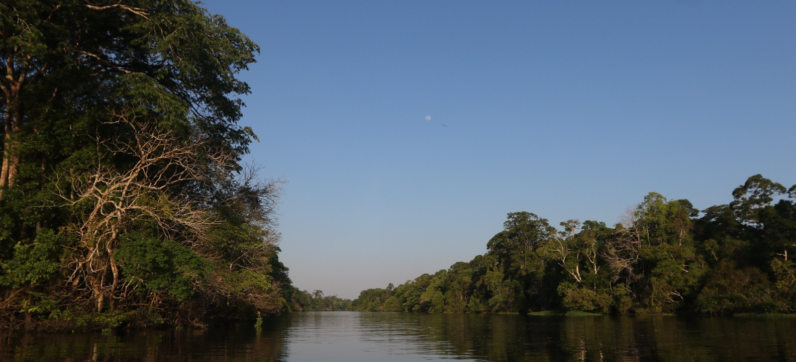 EDITORIAL – Identity and belonging, by Paula Litaiff