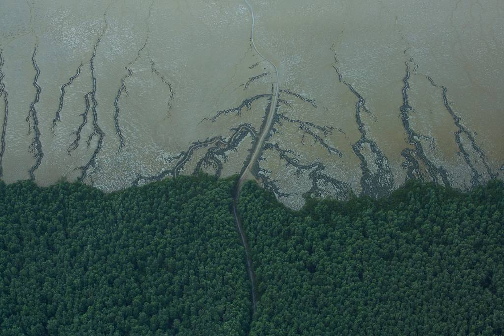 Possível mancha de petróleo na costa amazônica põe Ibama e Marinha em alerta