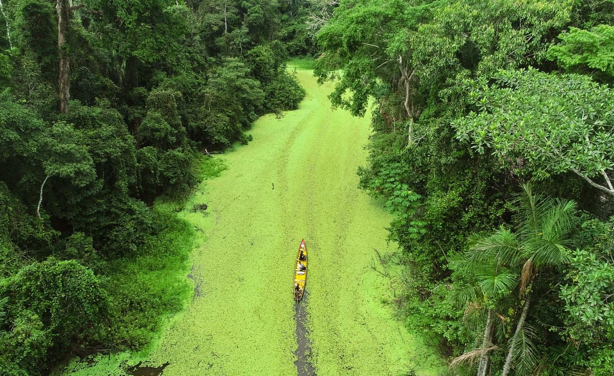 Acre ganha destaque como destino turístico em eventos nacionais e internacionais em 2024
