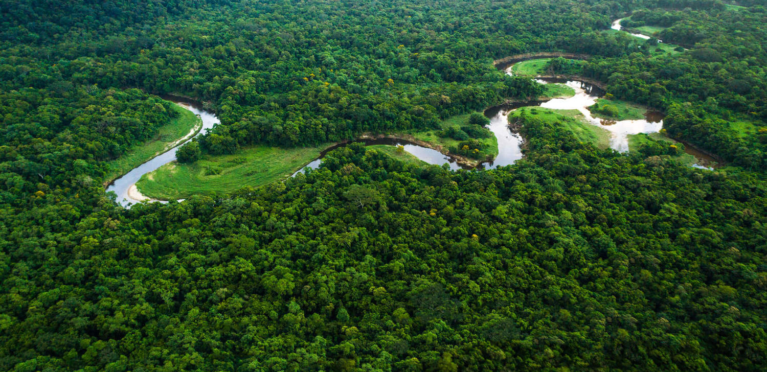 Rio e mata na Amazônia (Reprodução)