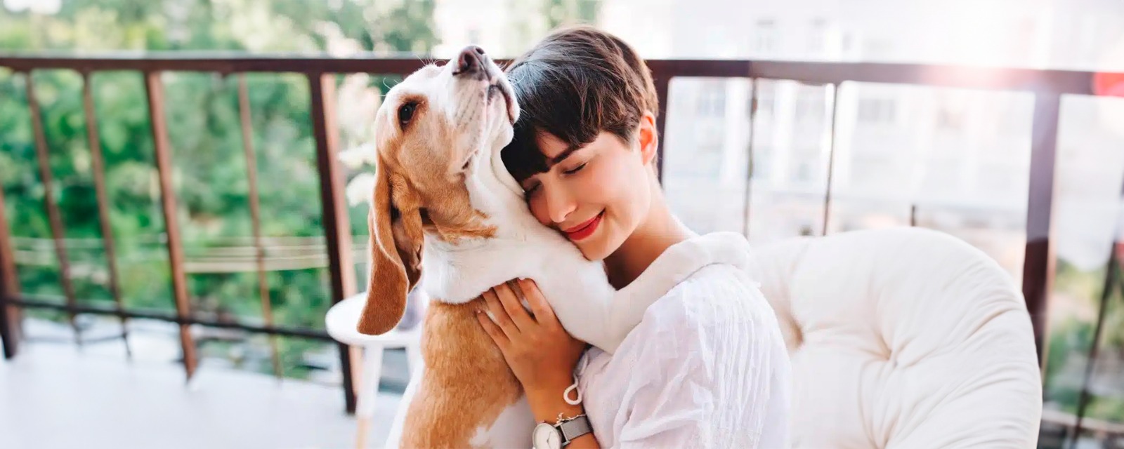 Projeto de lei regula propriedade compartilhada de animais de estimação