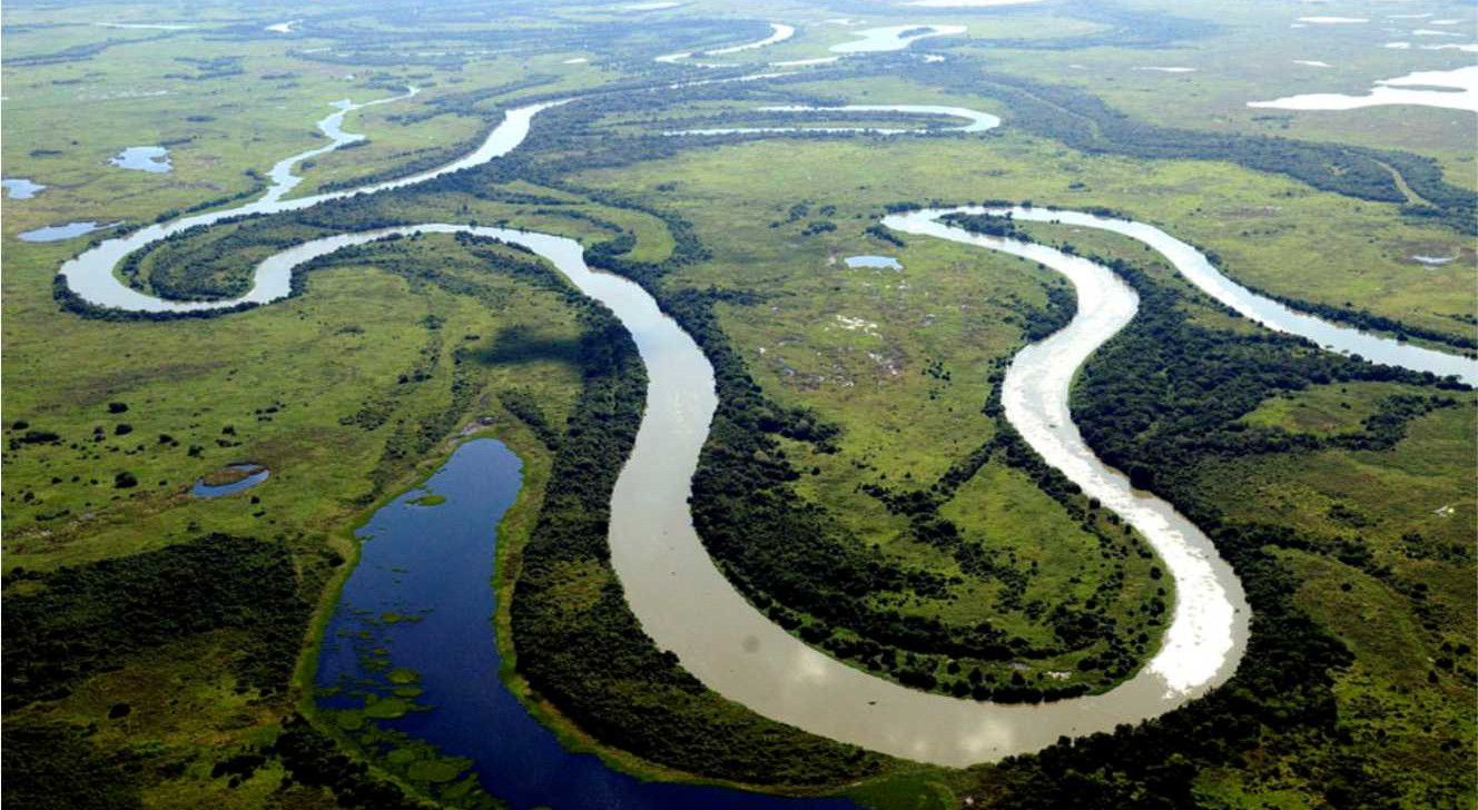 Bacia do Rio Paraguai fica no pantanal mato-grossense (Reprodução)