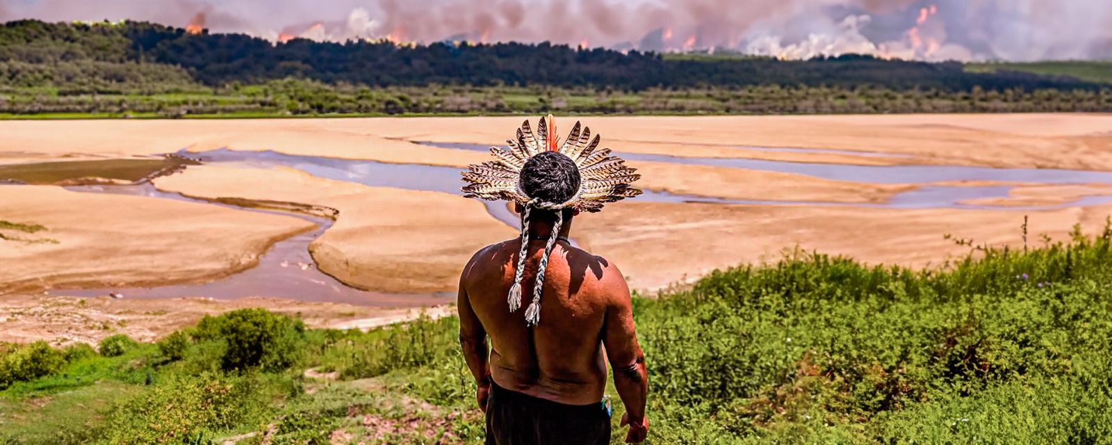 EDITORIAL – As suas escolhas e a Amazônia, por Márcia Guimarães