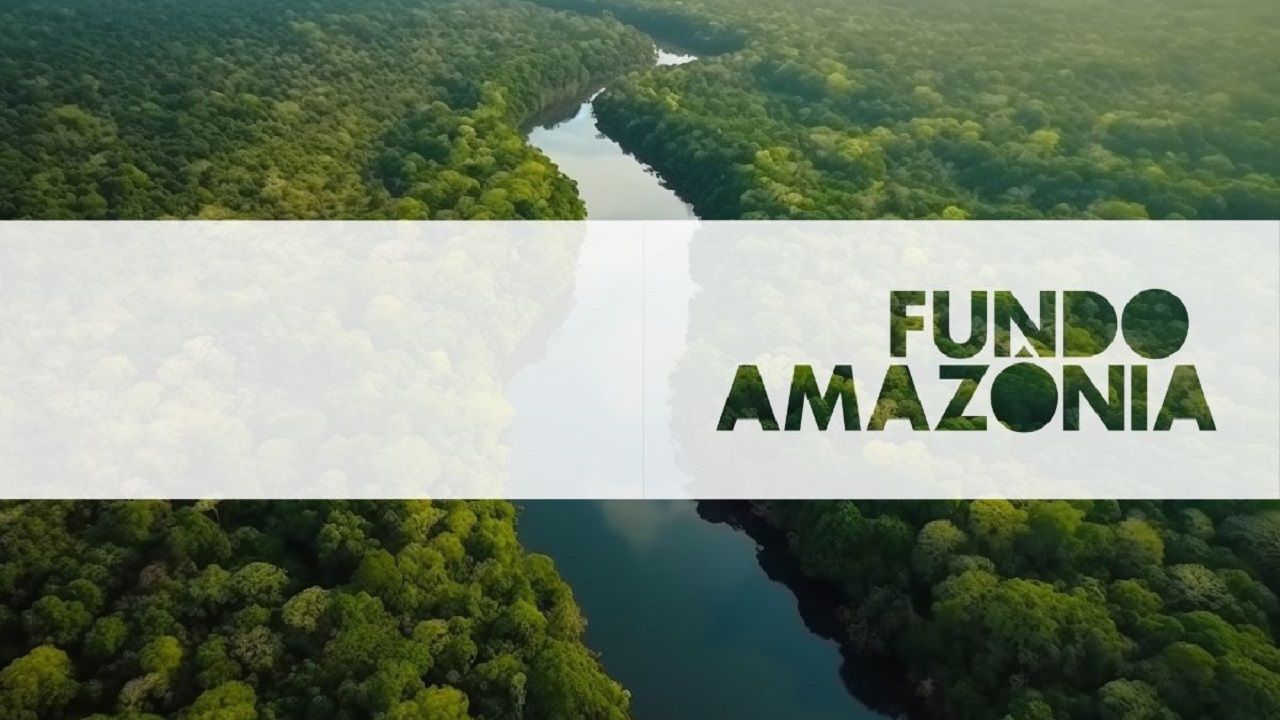 Fundo Amazônia tem R$ 3 bilhões disponíveis para investimentos em projetos