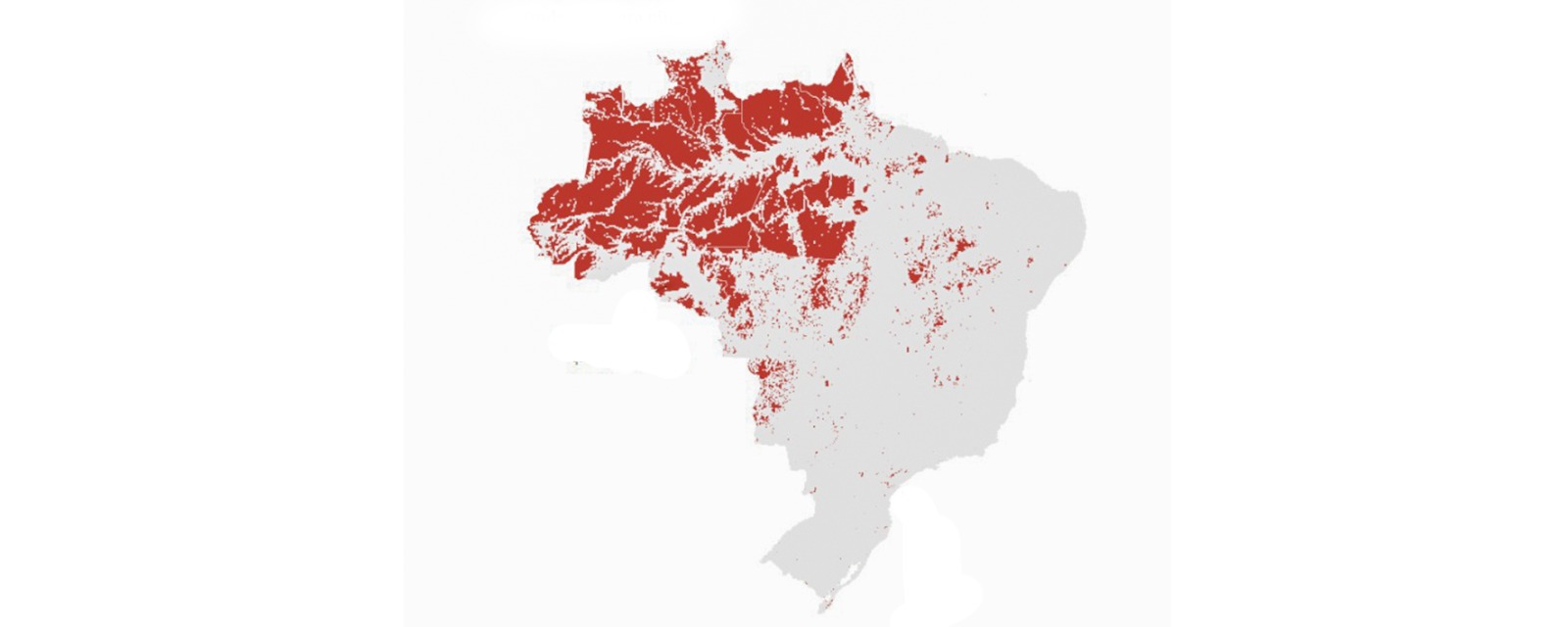 Roraima e Amazonas concentram maior número de vazios demográficos do País