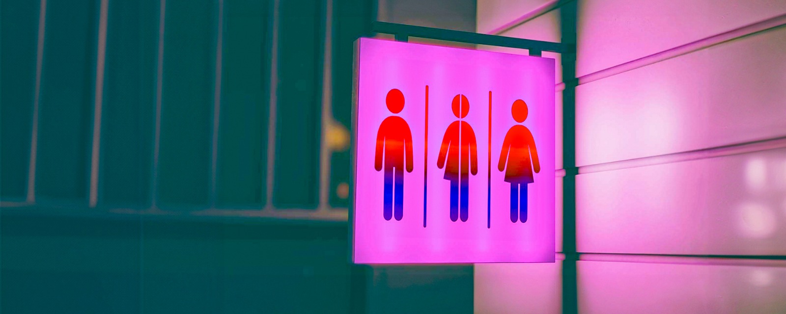 MPF é contrário a banheiros exclusivos para pessoas LGBTQIAPN+ no Carnaval do Acre