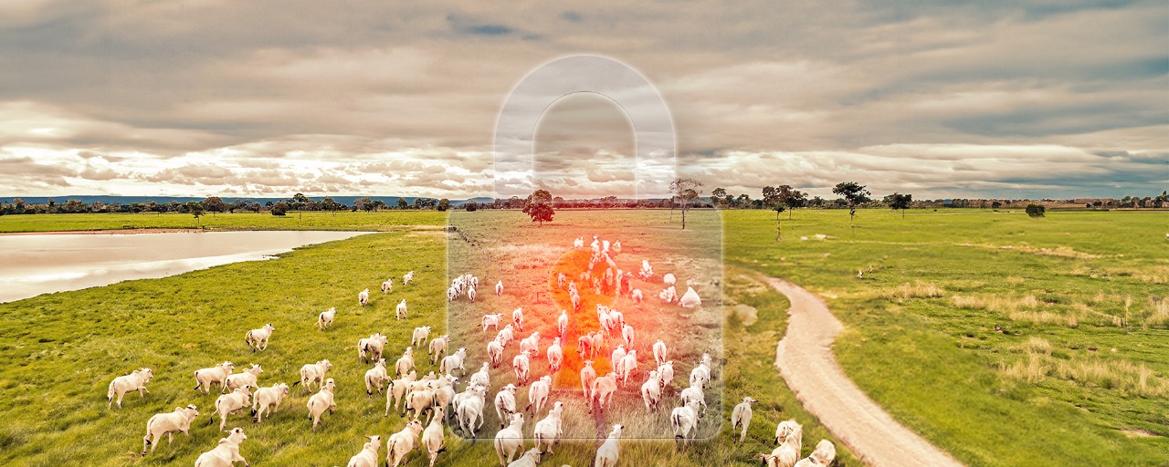 Em Mato Grosso, Justiça bloqueia bens de acusados de arrendar ilegalmente TI Maraiwatsédé