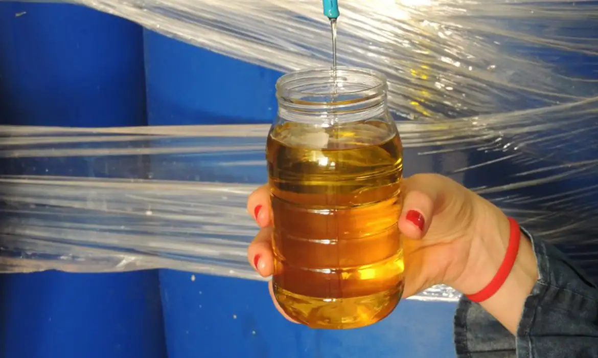 Ministério da Agricultura determina recolha de dez marcas de azeite por irregularidades