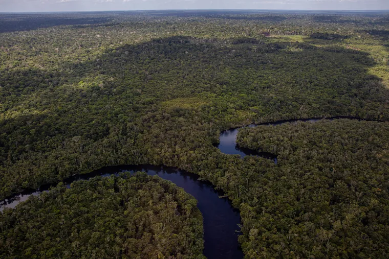 MPF recomenda providências para criação de reserva indígena no Pará