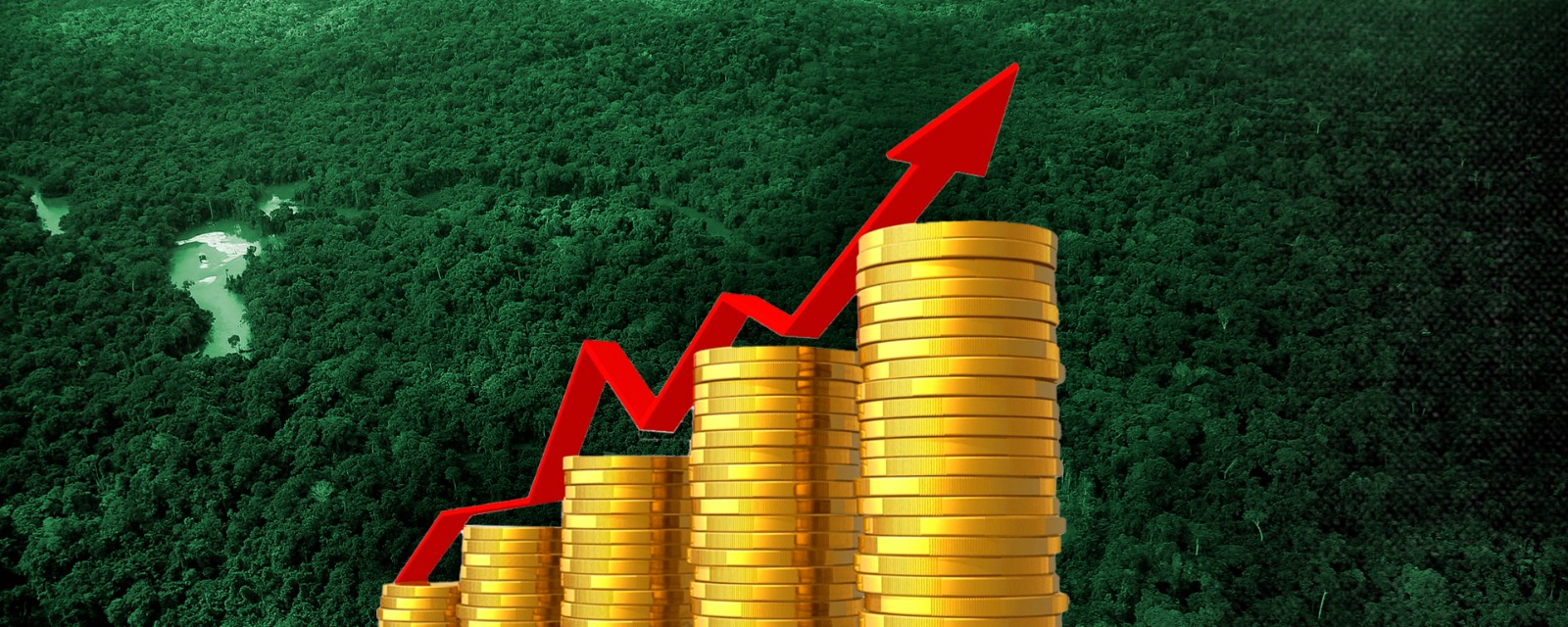 Crescimento do PIB brasileiro impulsa agropecuária e indústria da Amazônia; entenda