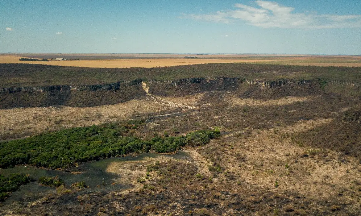 Governo federal cria força-tarefa para combater desmatamento no Cerrado