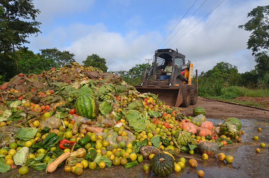 Quantidade de alimentos desperdiçados pode ser muito maior (Divulgação/Instituto Cidade Amiga)