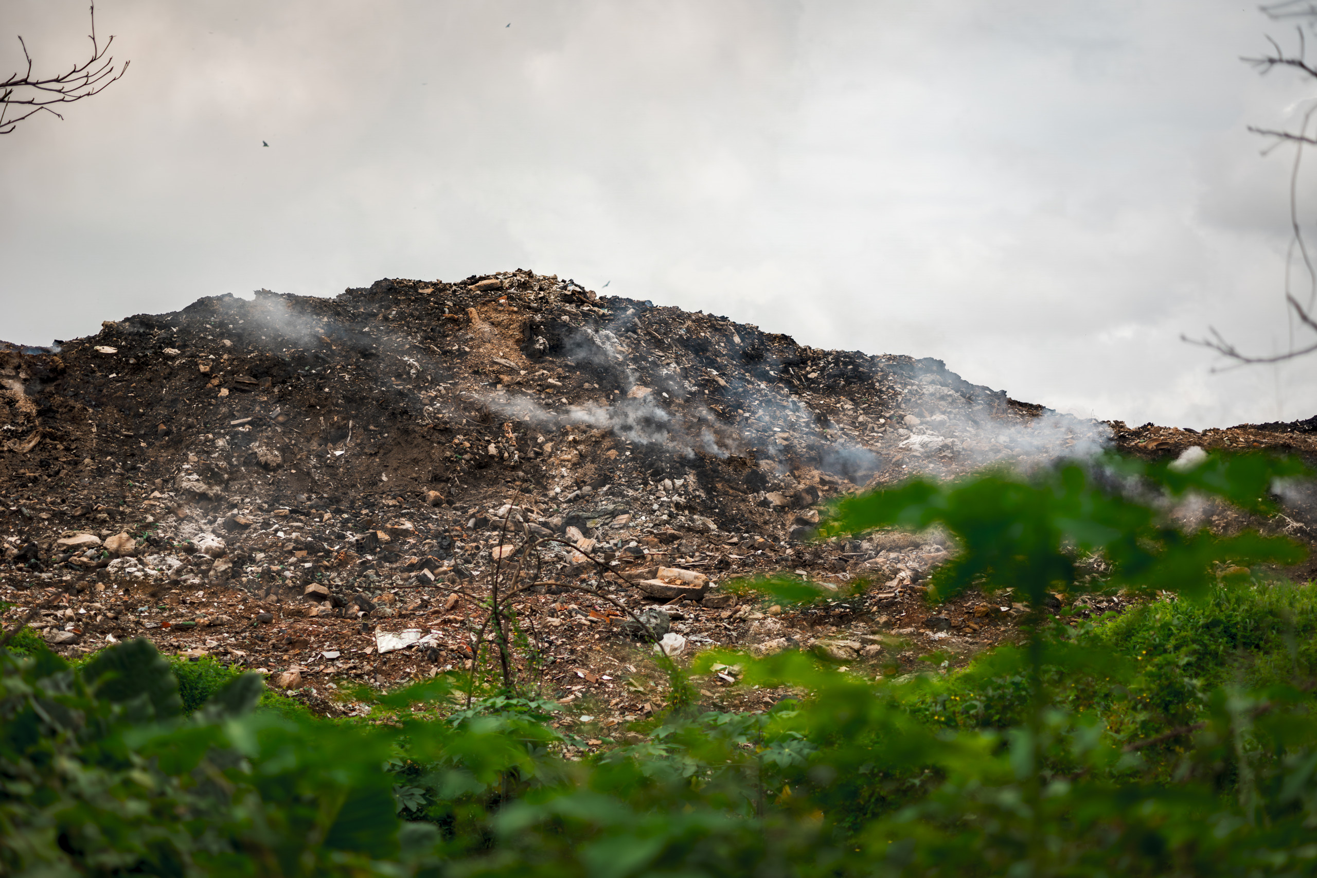 Documentário da CENARIUM sobre desafios da COP30 vira tema de artigo internacional