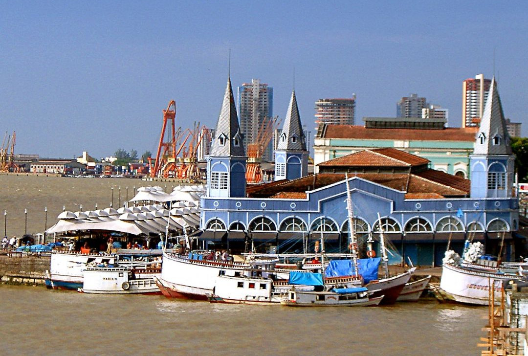 ‘Dividir COP30 em dois Estados dispersa sociedade civil’, apontam especialistas