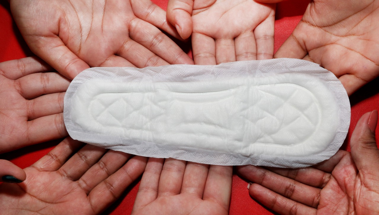 O absorvente, produto de higiene íntima externo feminino utilizado durante a menstruação. (Ricardo Oliveira/Cenarium)