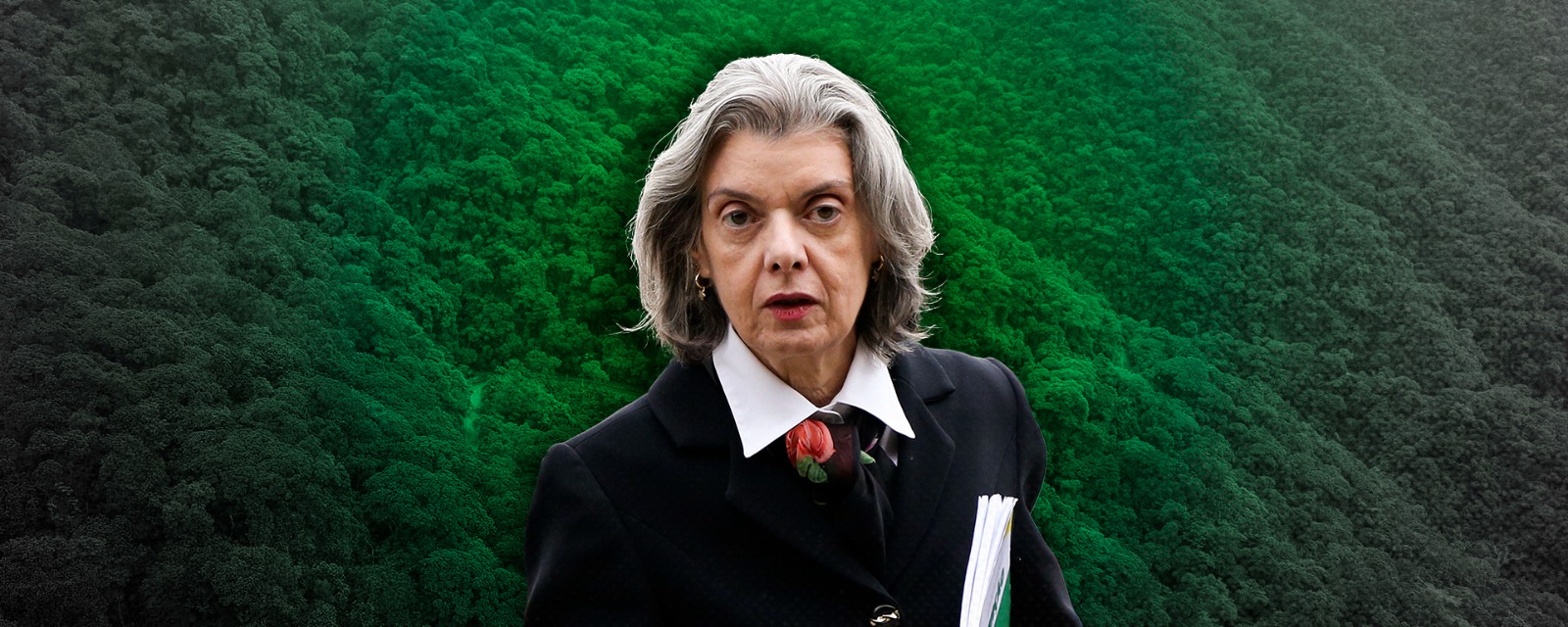STF: Cármen Lúcia amplia prazos do Governo Lula para proteção da Amazônia