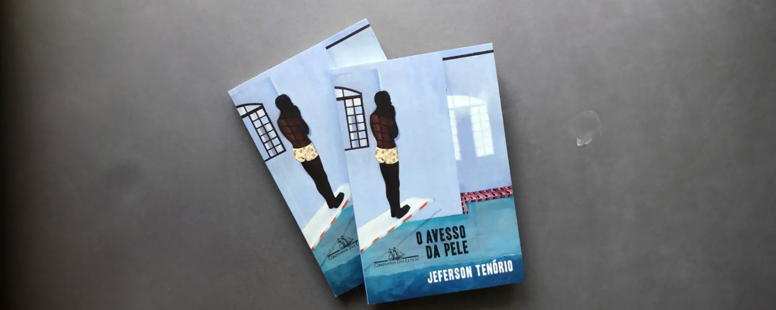 Ministros do Governo Lula repudiam tentativa de censura ao livro ‘O Avesso da Pele’