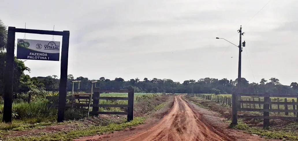 Entrada da Fazenda Palotina (Reprodução)