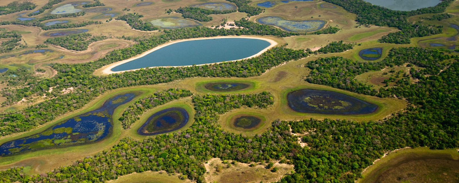 Pesquisadores querem medir volume de água no Pantanal mato-grossense
