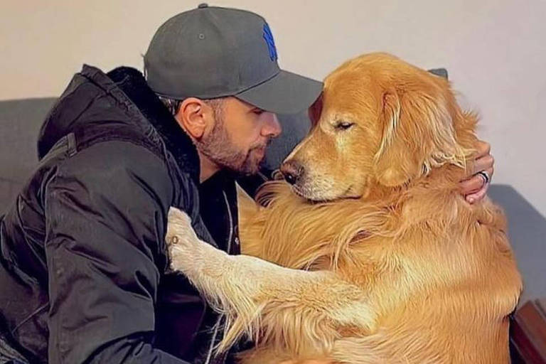 Morte de cão pode ter sido ocasionada por estresse e temperatura do porão em avião