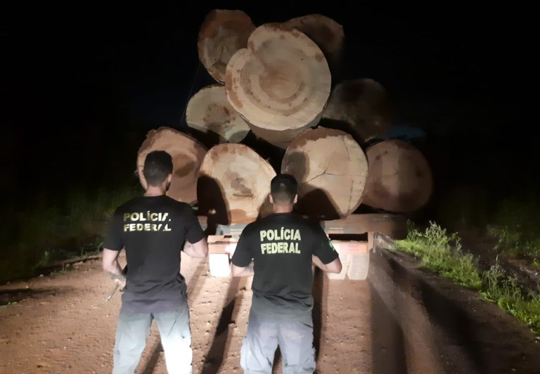 PF intensifica ações contra comércio ilegal de madeira em TIs de Rondônia