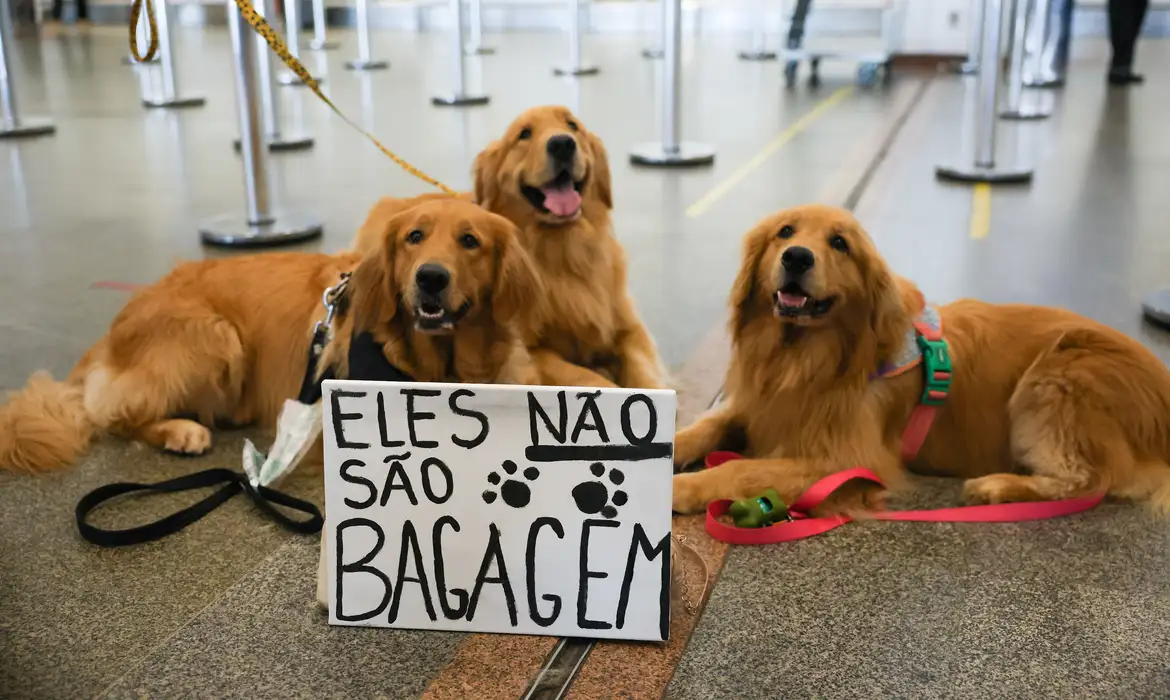 Tutores se manifestam no aeroporto de Brasília após a morte de Joca