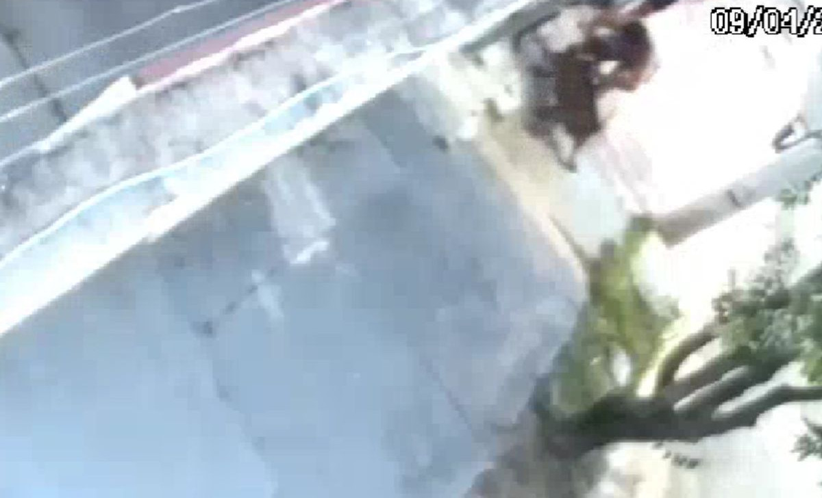 Criança de 2 anos é salva por avós de ataque de pitbull em Cuiabá