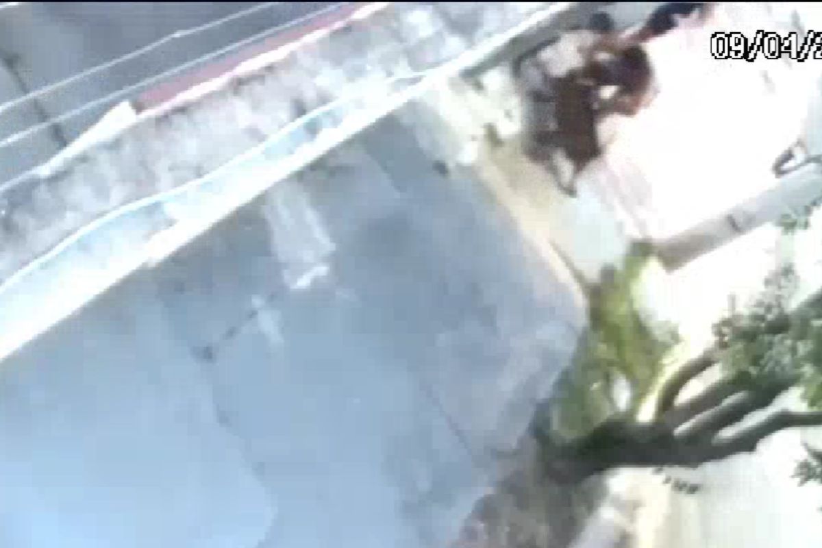 Criança de 2 anos é salva por avós de ataque de pitbull em Cuiabá