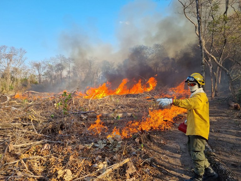 Crise em Roraima: incêndios florestais e poluição impactam na saúde