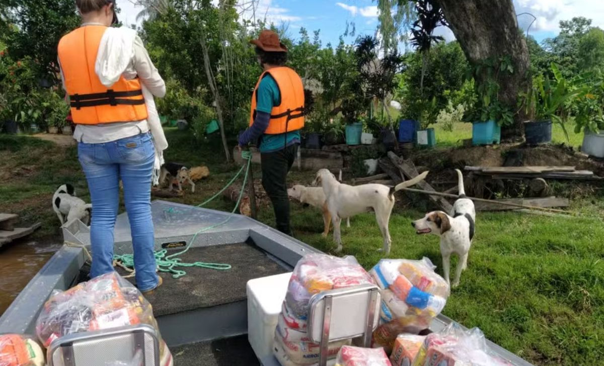 ONG arrecada doações para ajudar comunidades ribeirinhas do Pantanal