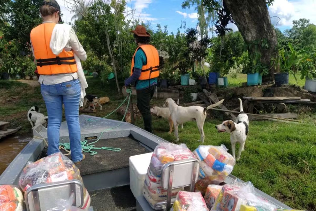 ONG arrecada doações para ajudar comunidades ribeirinhas do Pantanal