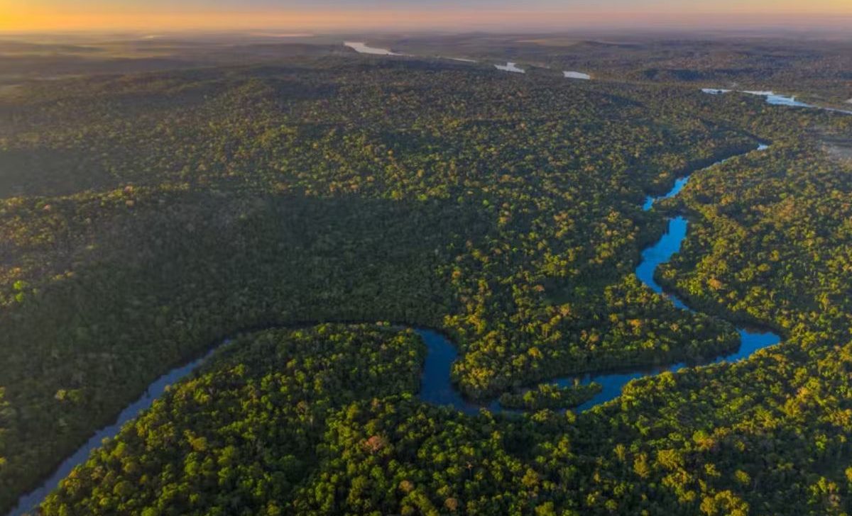 Justiça decide extinguir parque de conservação na Amazônia de MT